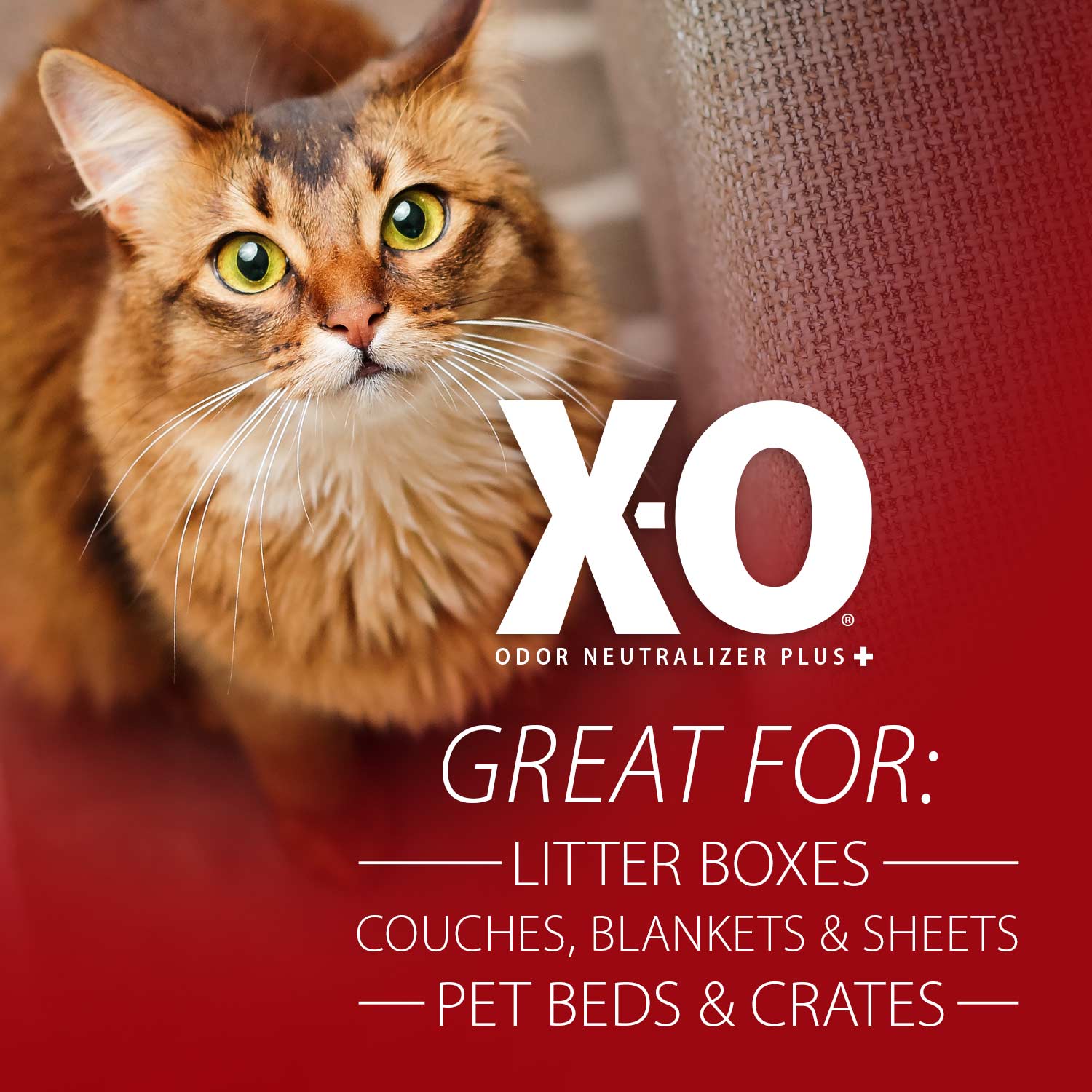 Jeffers X - O Pet Odor Neutralizer Plus + Cleaner Concentrate - Mascotitas