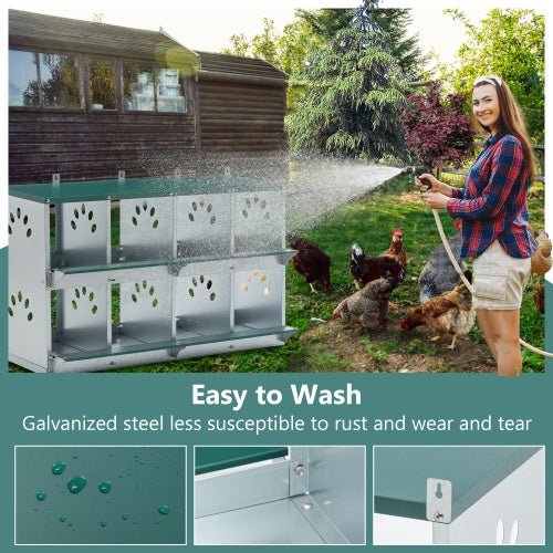 Laying hen house so your hens are comfortable and can meditate properly. - Mascotitas