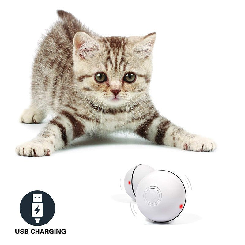 LED Laser Electronic Rolling Pet Funny Cat Toy Ball - Mascotitas