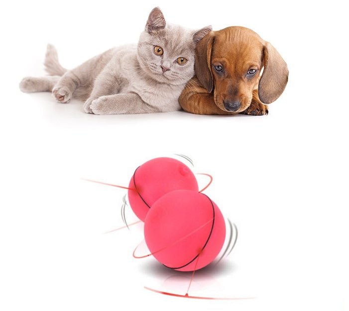 LED Laser Electronic Rolling Pet Funny Cat Toy Ball - Mascotitas