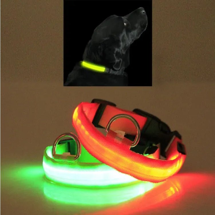 LED PET Safety Halo Style Collar - Mascotitas