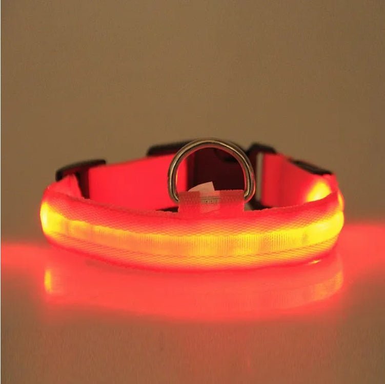 LED PET Safety Halo Style Collar - Mascotitas