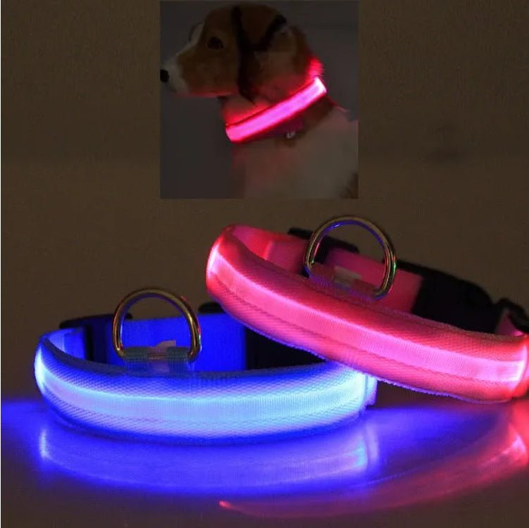 LED PET Safety Halo Style Collar - Mascotitas