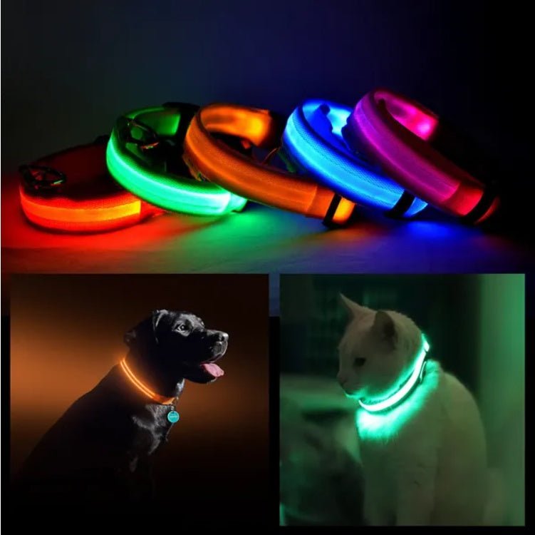 LED PET Safety Halo Style Collar - Mascotitas