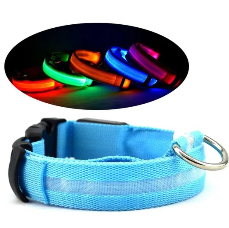 LED PET Safety Halo Style Collar - Mascotitas