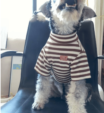 Lightweight Summer Clothing for Small Dogs - Mascotitas