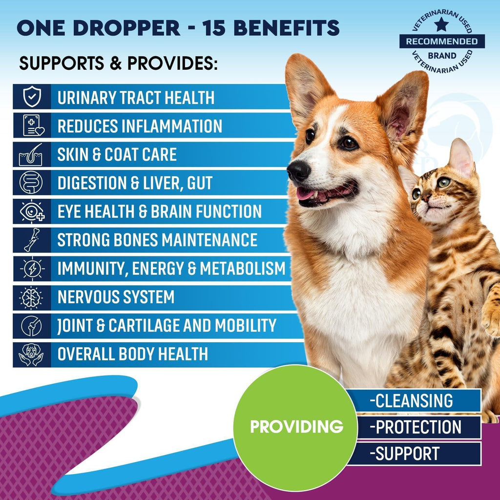 Liquid Multivitamin with Glucosamine for Pets - Mascotitas