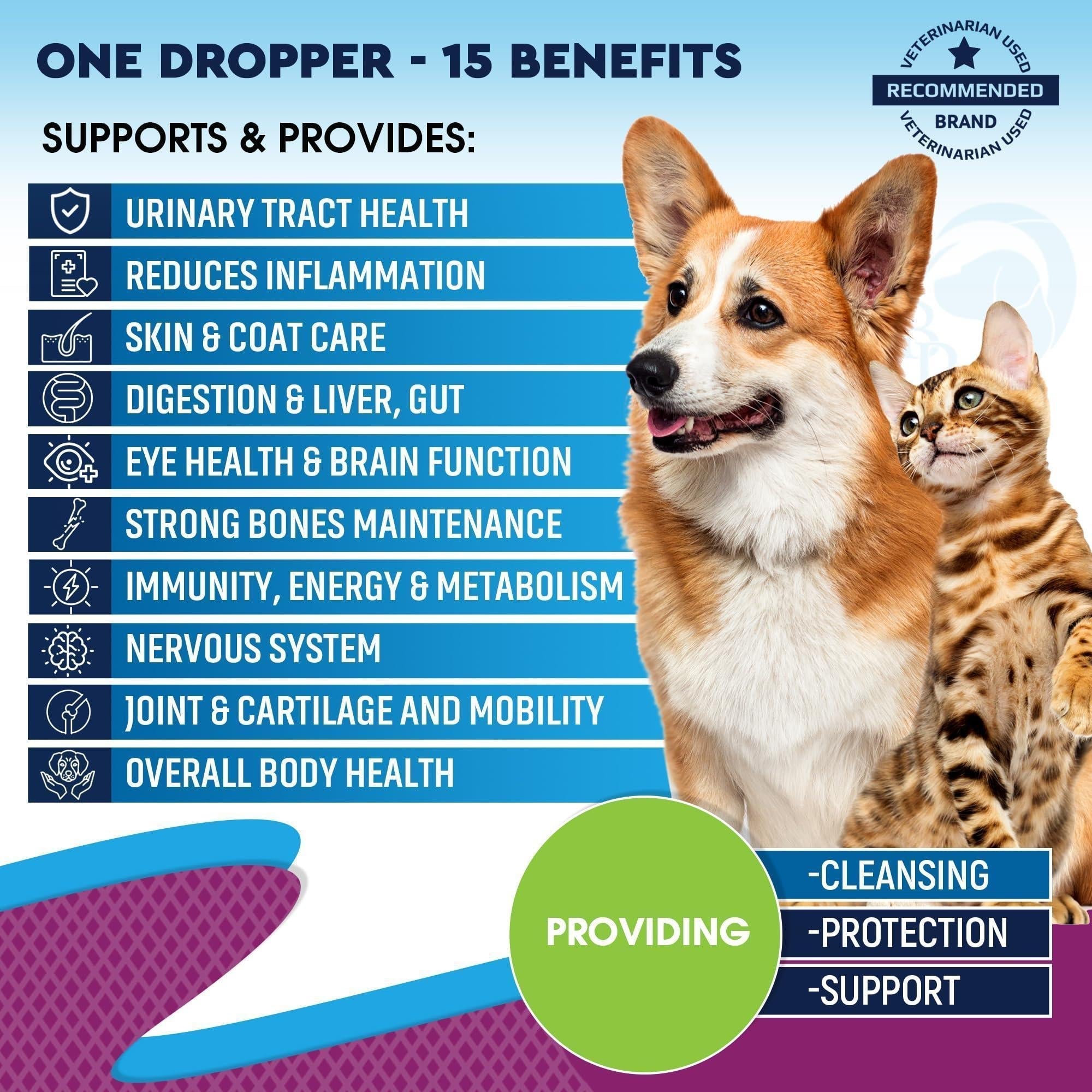 Liquid Multivitamin with Glucosamine for Pets - Mascotitas