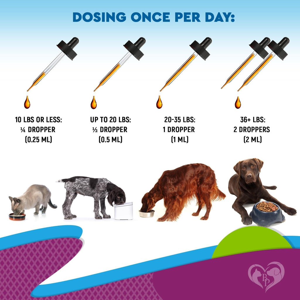 Liquid Multivitamin with Glucosamine for Pets - Mascotitas