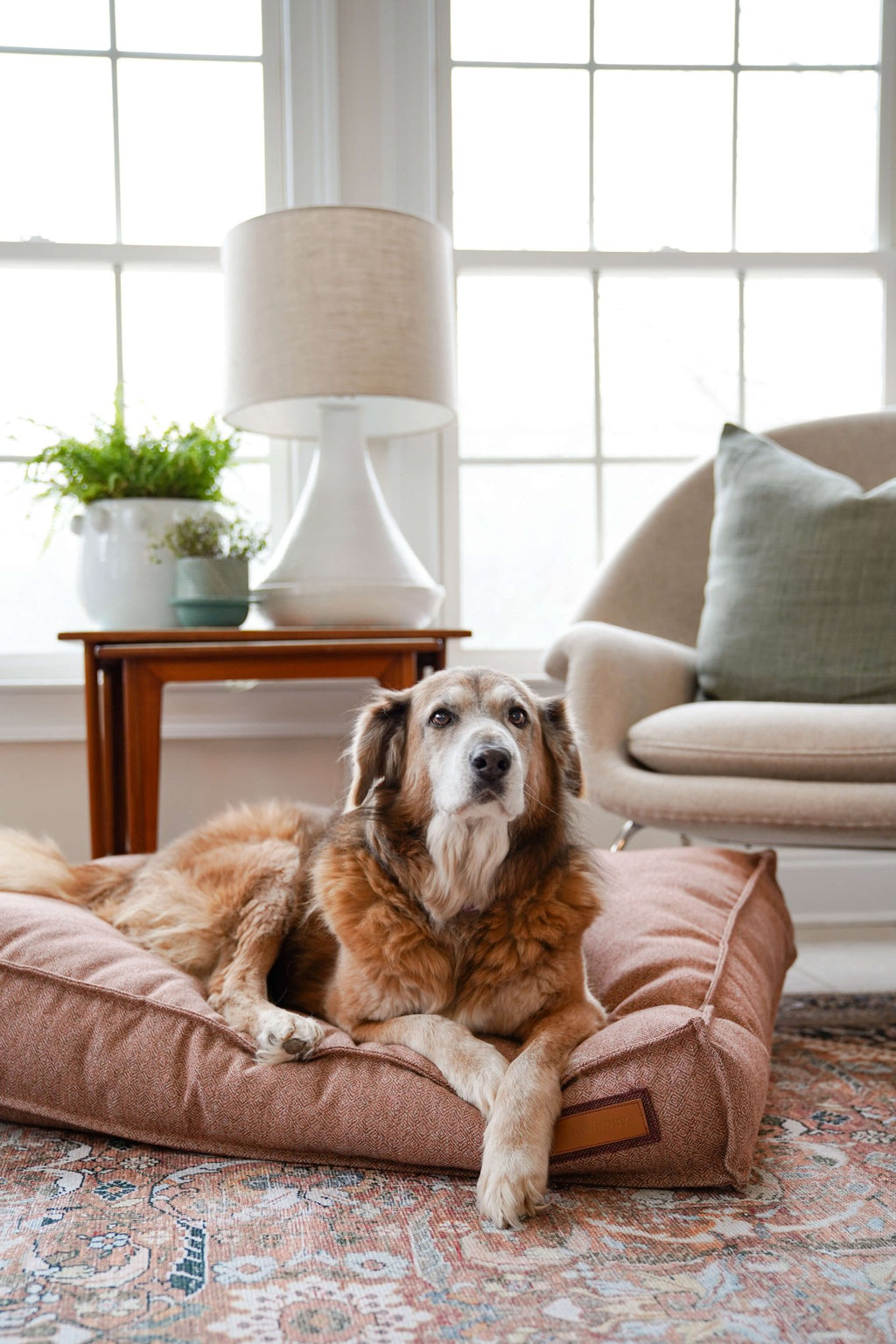 Lounger Pet Bed in Pittie Pink - Mascotitas