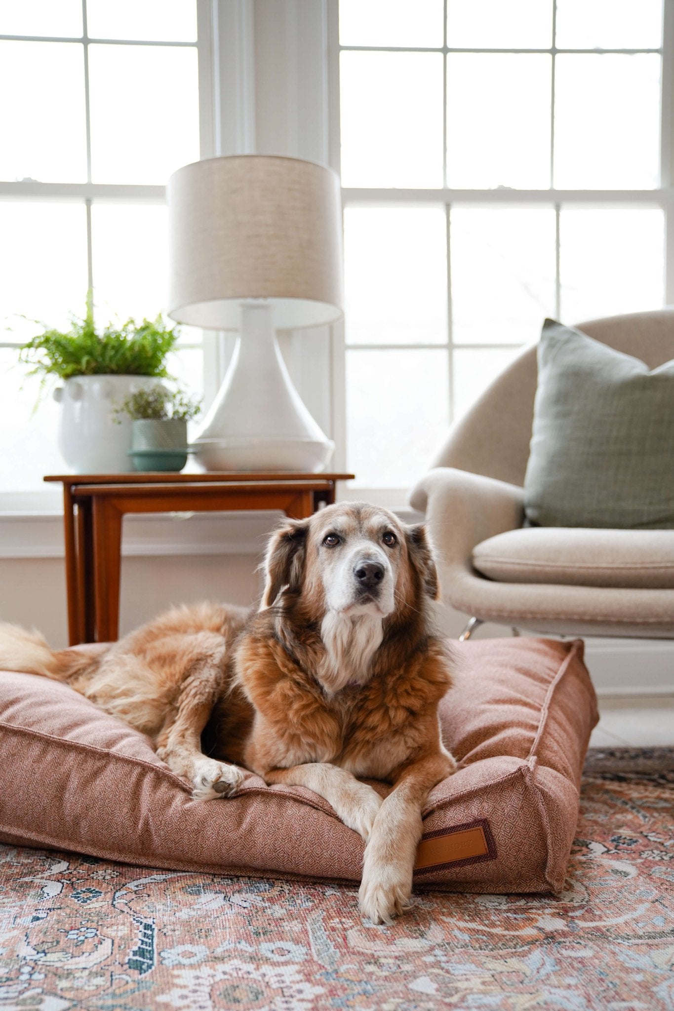 Lounger Pet Bed in Pittie Pink - Mascotitas