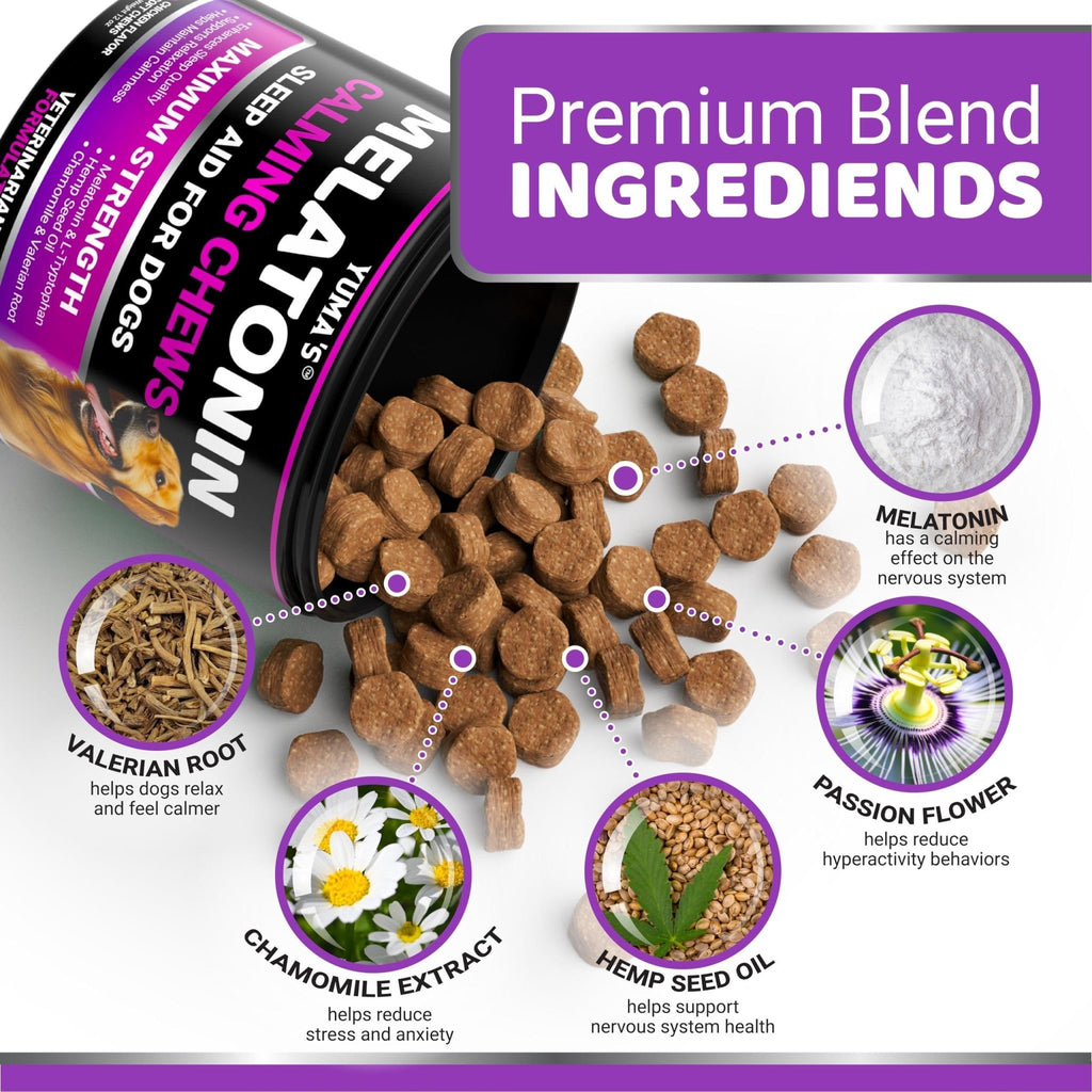 Melatonin Calming Chews for Dogs — 170 Count - Mascotitas