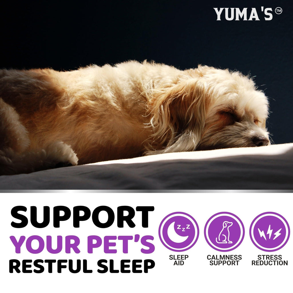 Melatonin Calming Chews for Dogs — 170 Count - Mascotitas
