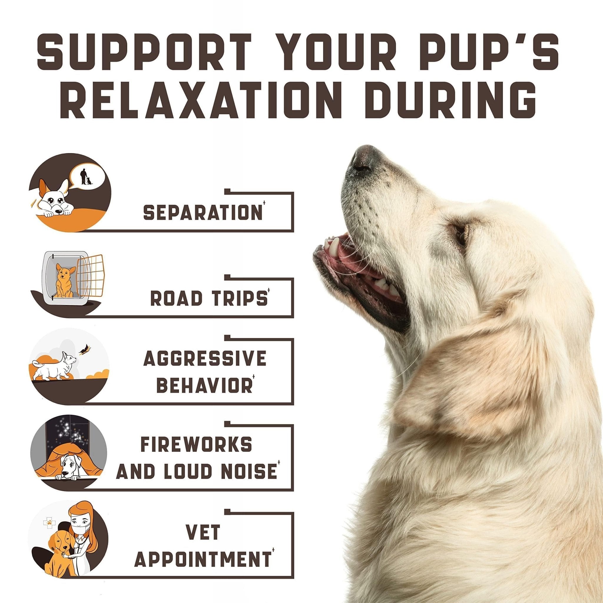 Natural Calming Chews with Hemp & Valerian Root - Mascotitas