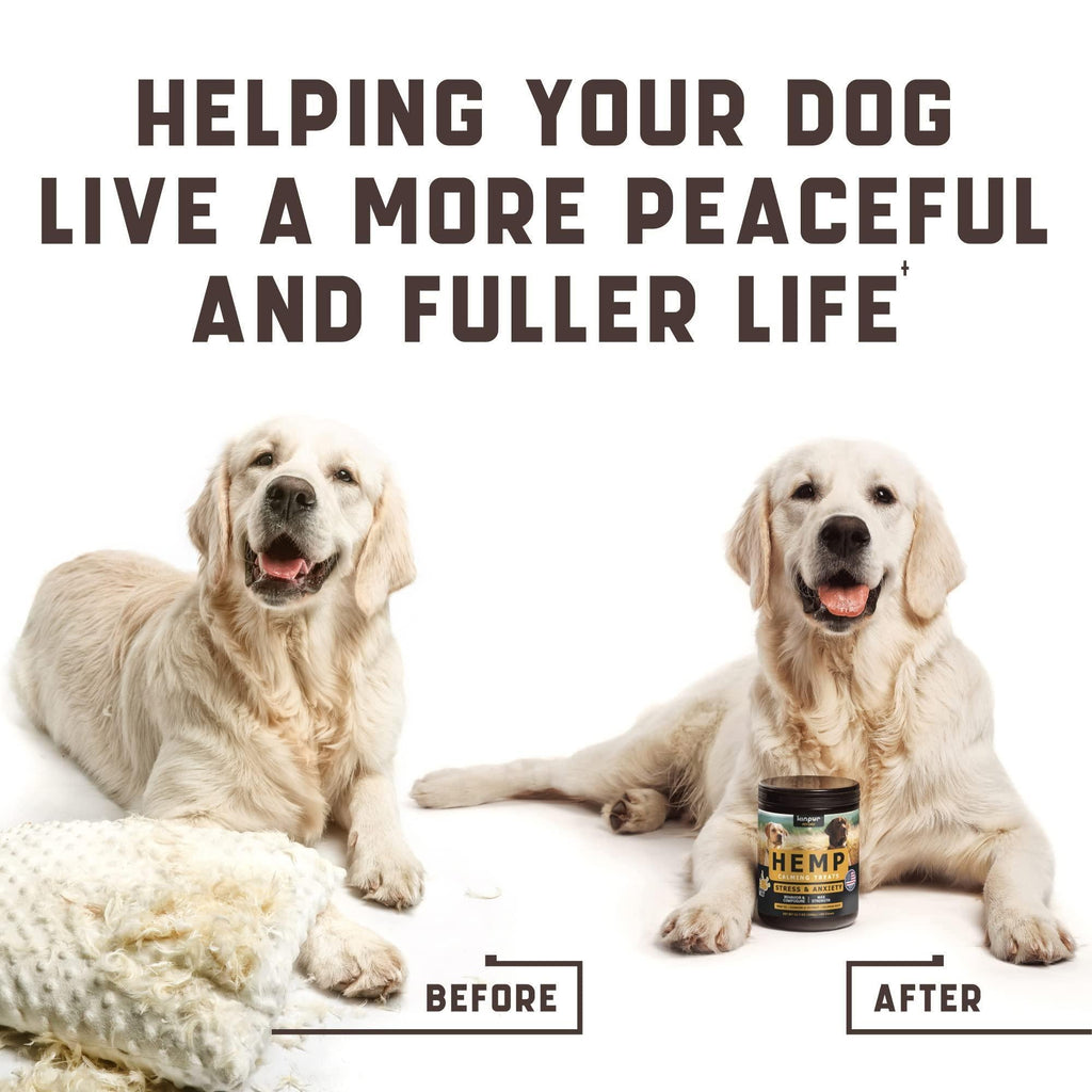 Natural Calming Chews with Hemp & Valerian Root - Mascotitas