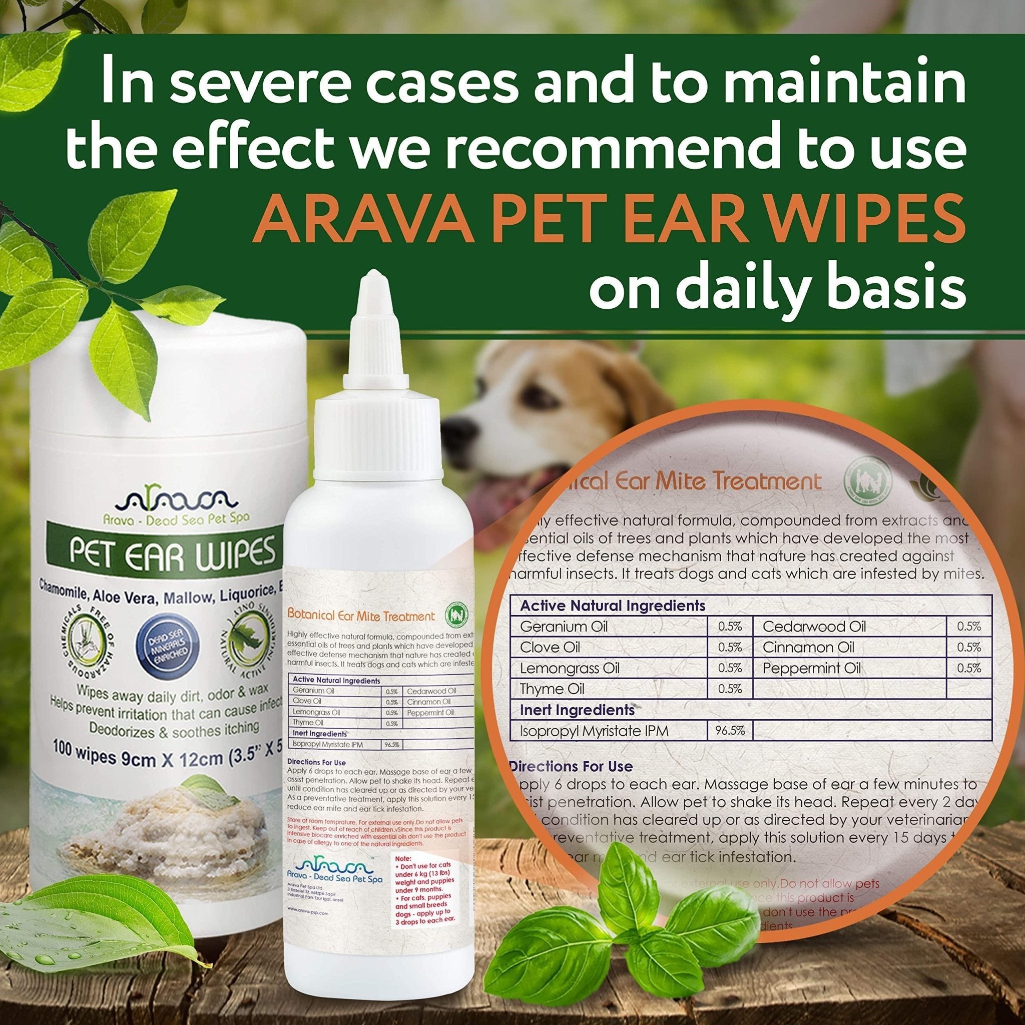 Natural Ear Mite Treatment for Dogs & Cats Pet Ear Mites Infection Cleaner - Mascotitas