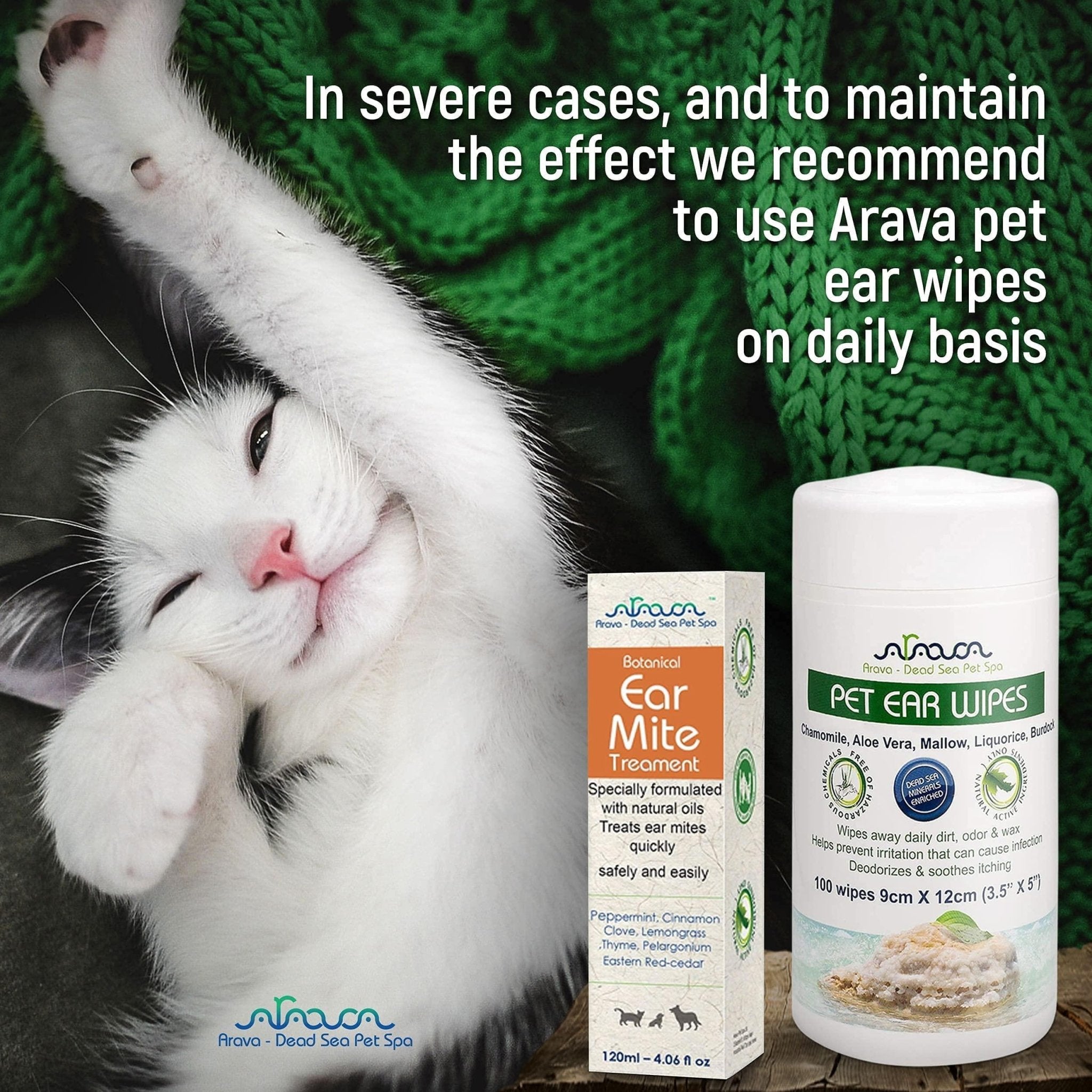 Natural Ear Mite Treatment for Dogs & Cats Pet Ear Mites Infection Cleaner - Mascotitas