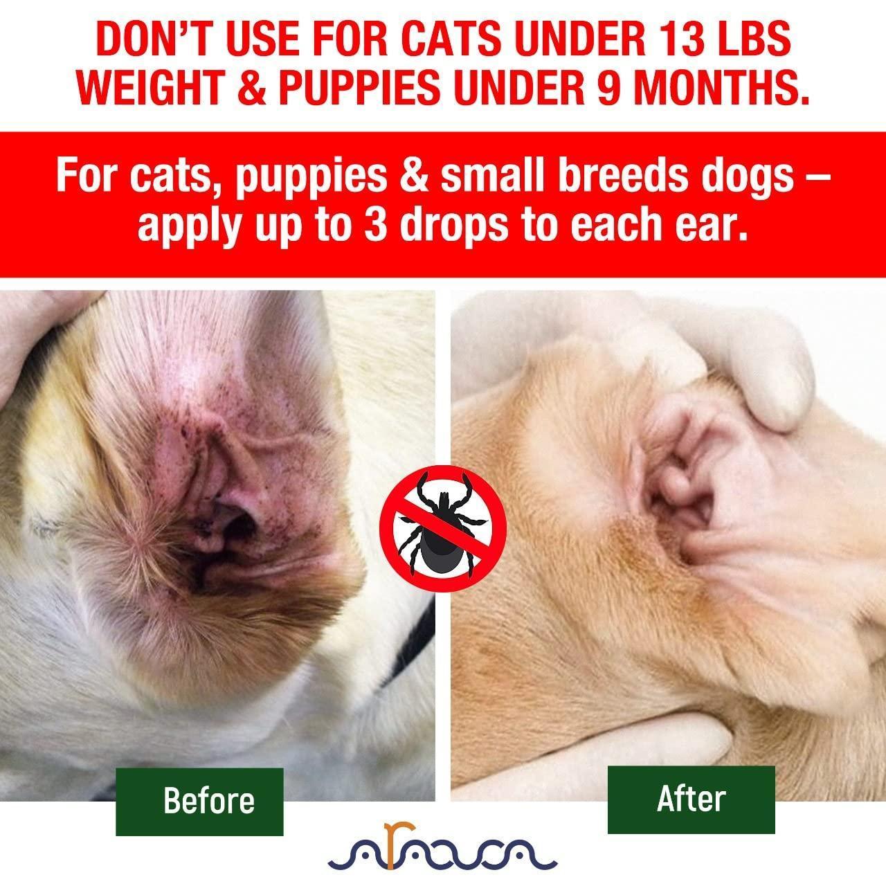 Natural Ear Mite Treatment for Dogs & Cats Pet Ear Mites Infection Cleaner - Mascotitas
