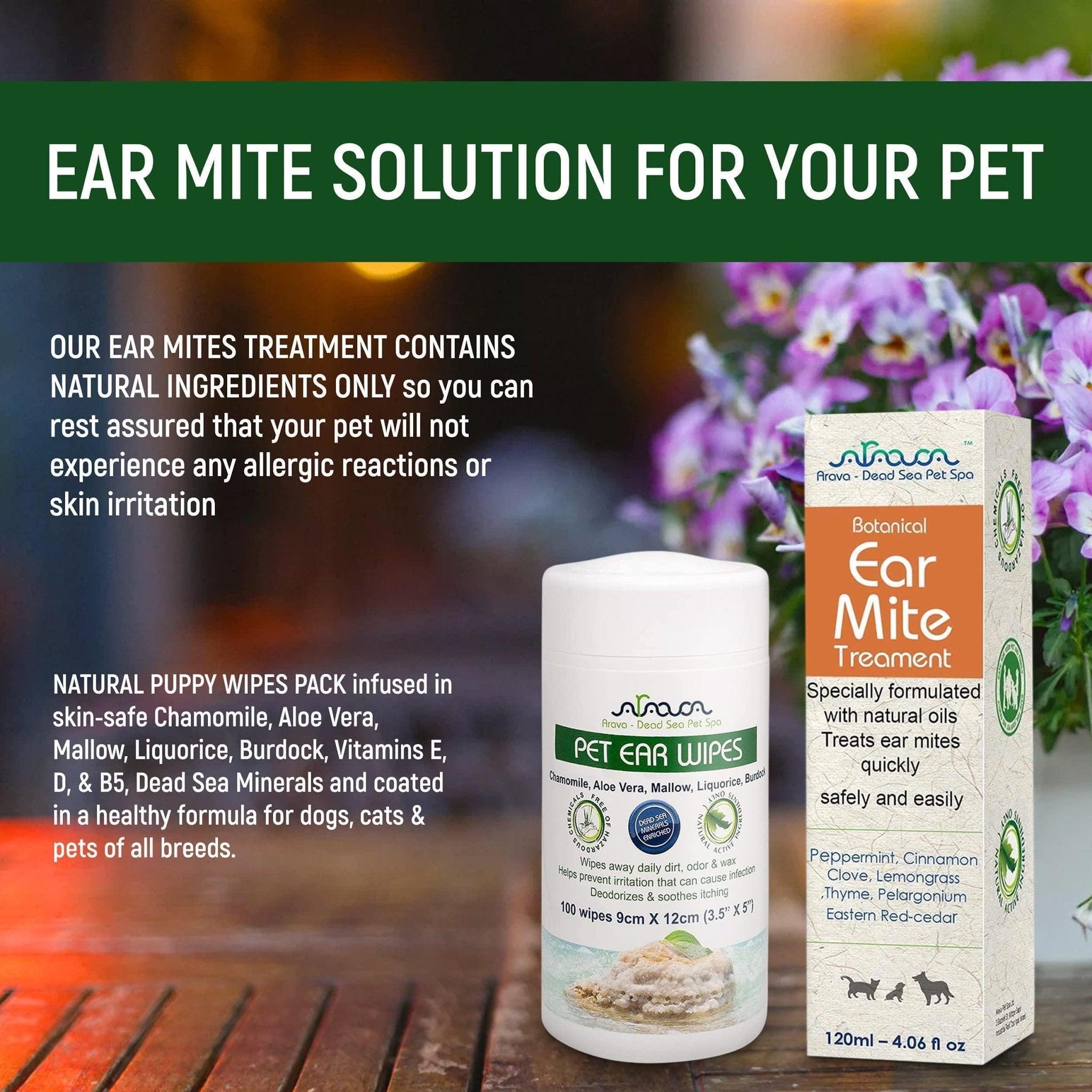 Natural Ear Mite Treatment for Dogs & Cats Pet Ear Mites Infection Cleaner - Mascotitas