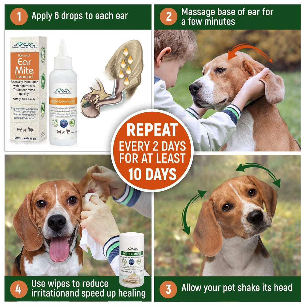 Natural Ear Mite Treatment for Dogs & Cats Pet Ear Mites Infection Cleaner - Mascotitas