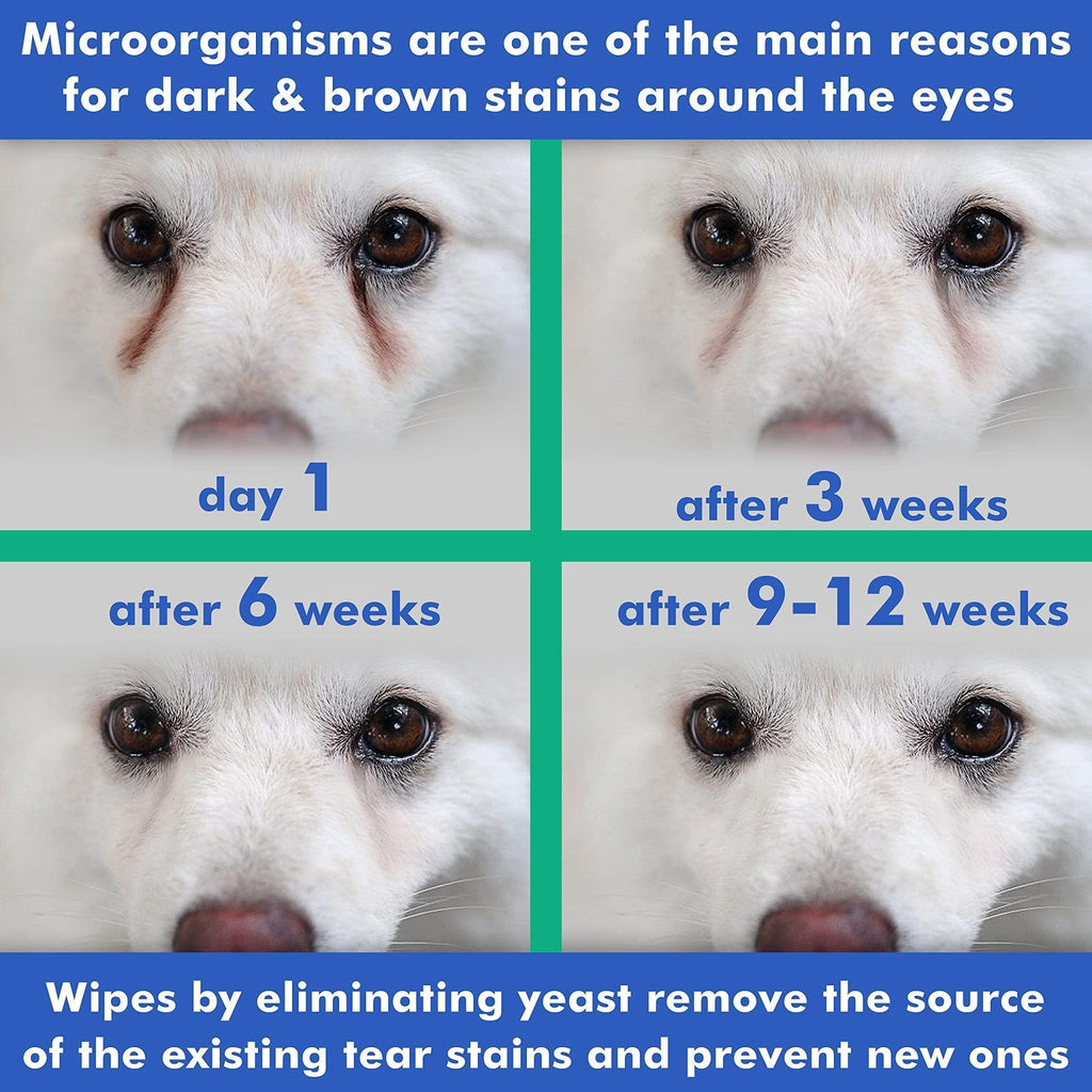 Natural Eye Wipes for Dogs & Cats — 100 Count - Mascotitas