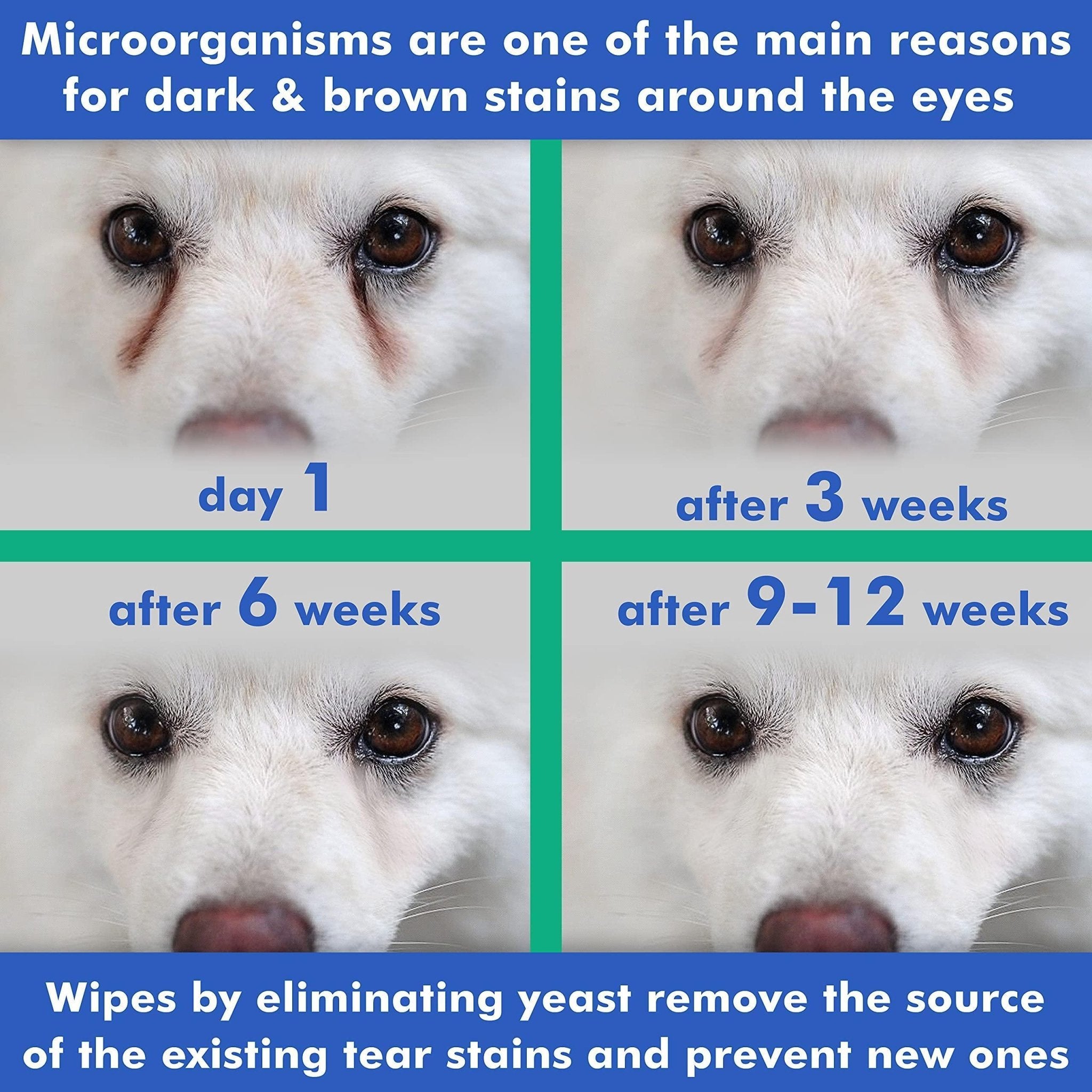 Natural Eye Wipes for Dogs & Cats — 100 Count - Mascotitas