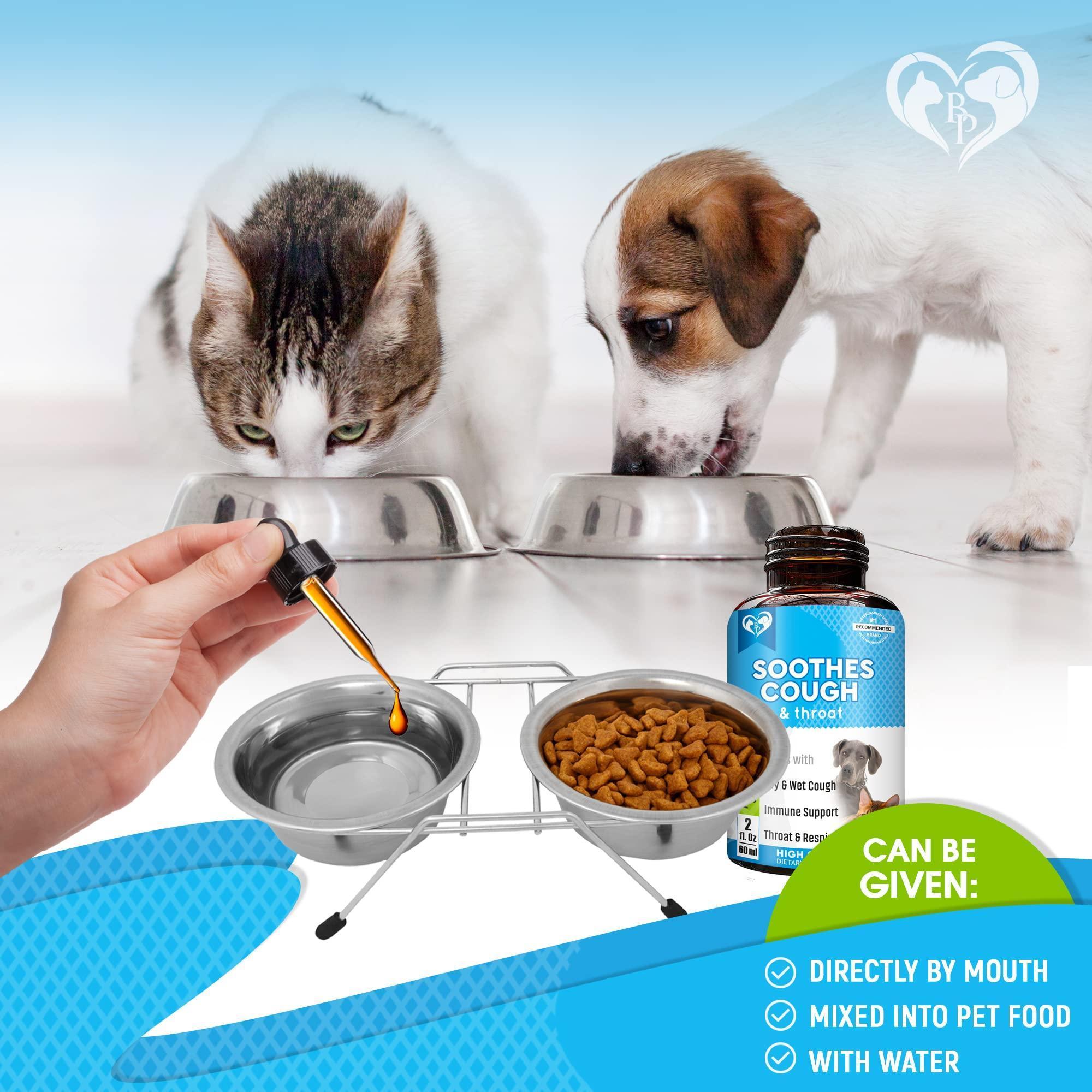 Natural Kennel Cough Relief for Dogs & Cats - Mascotitas