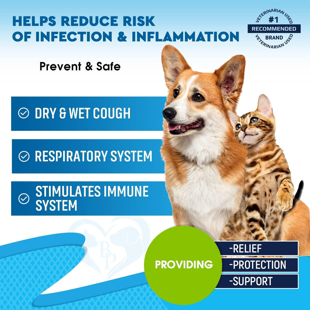 Natural Kennel Cough Relief for Dogs & Cats - Mascotitas