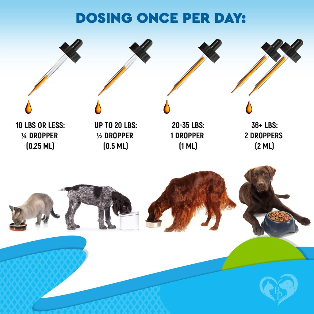 Natural Kennel Cough Relief for Dogs & Cats - Mascotitas