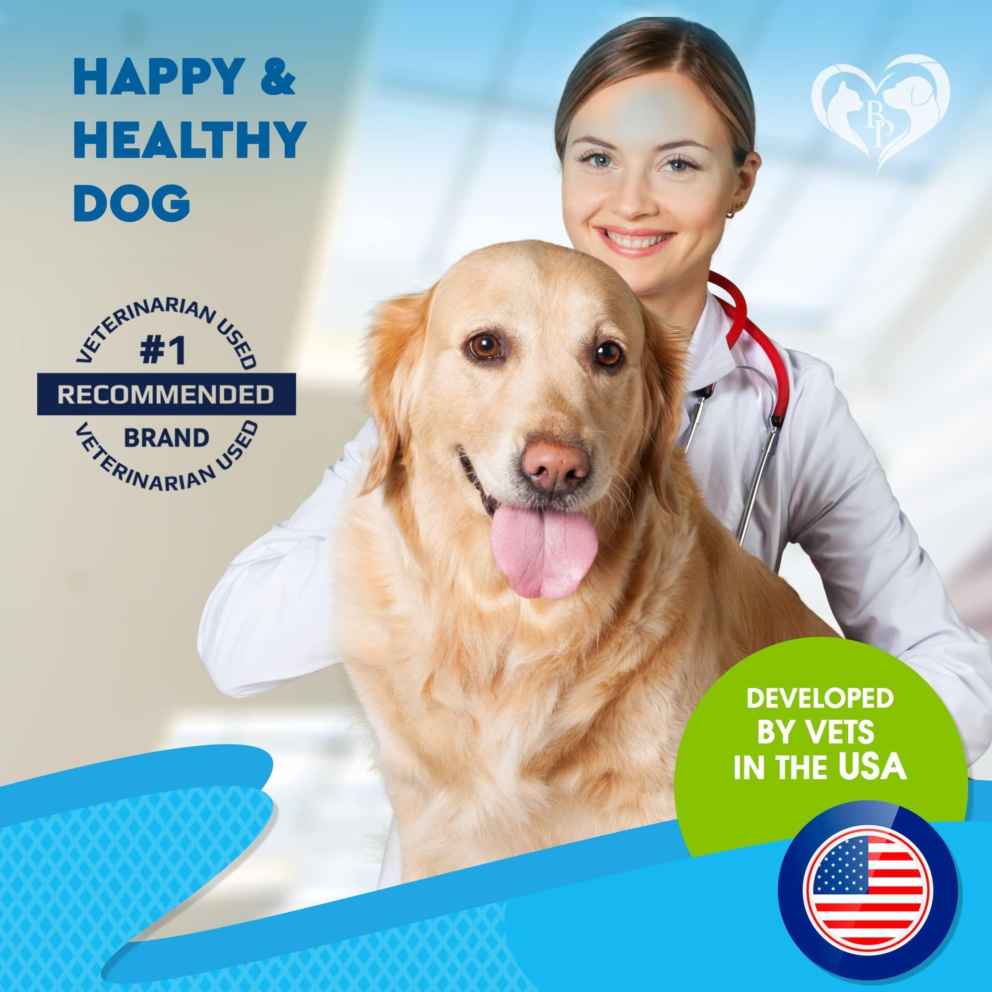Natural Kennel Cough Relief for Dogs & Cats - Mascotitas