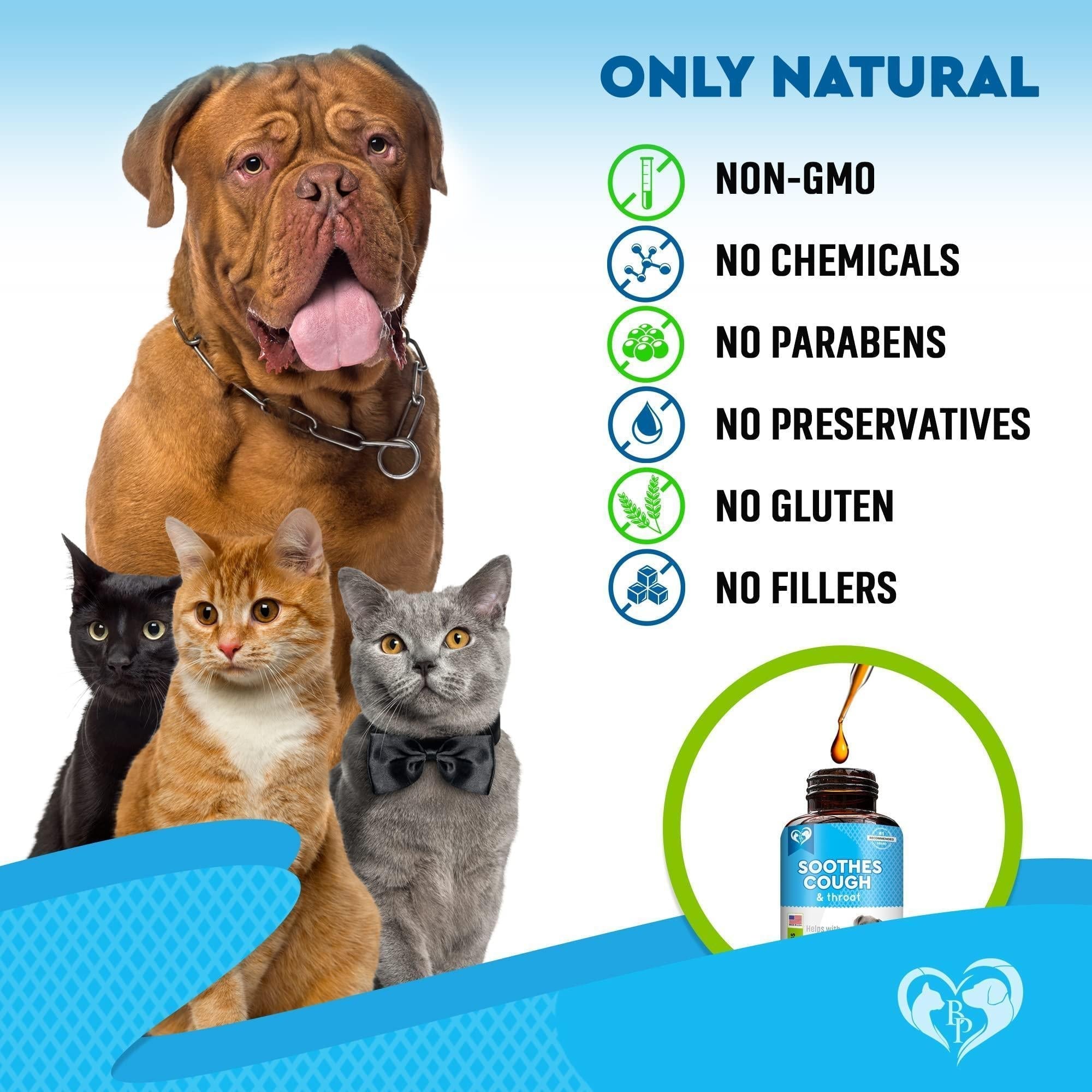 Natural Kennel Cough Relief for Dogs & Cats - Mascotitas
