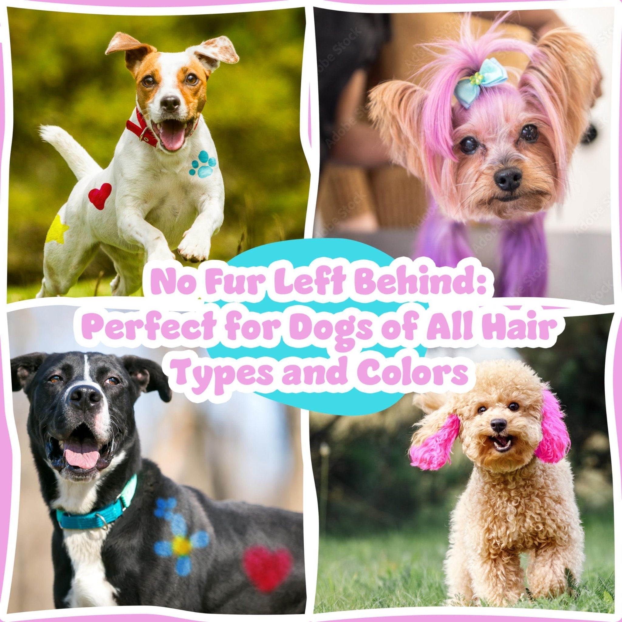 Non - Toxic Dog Hair Dye — 8 Colors - Mascotitas