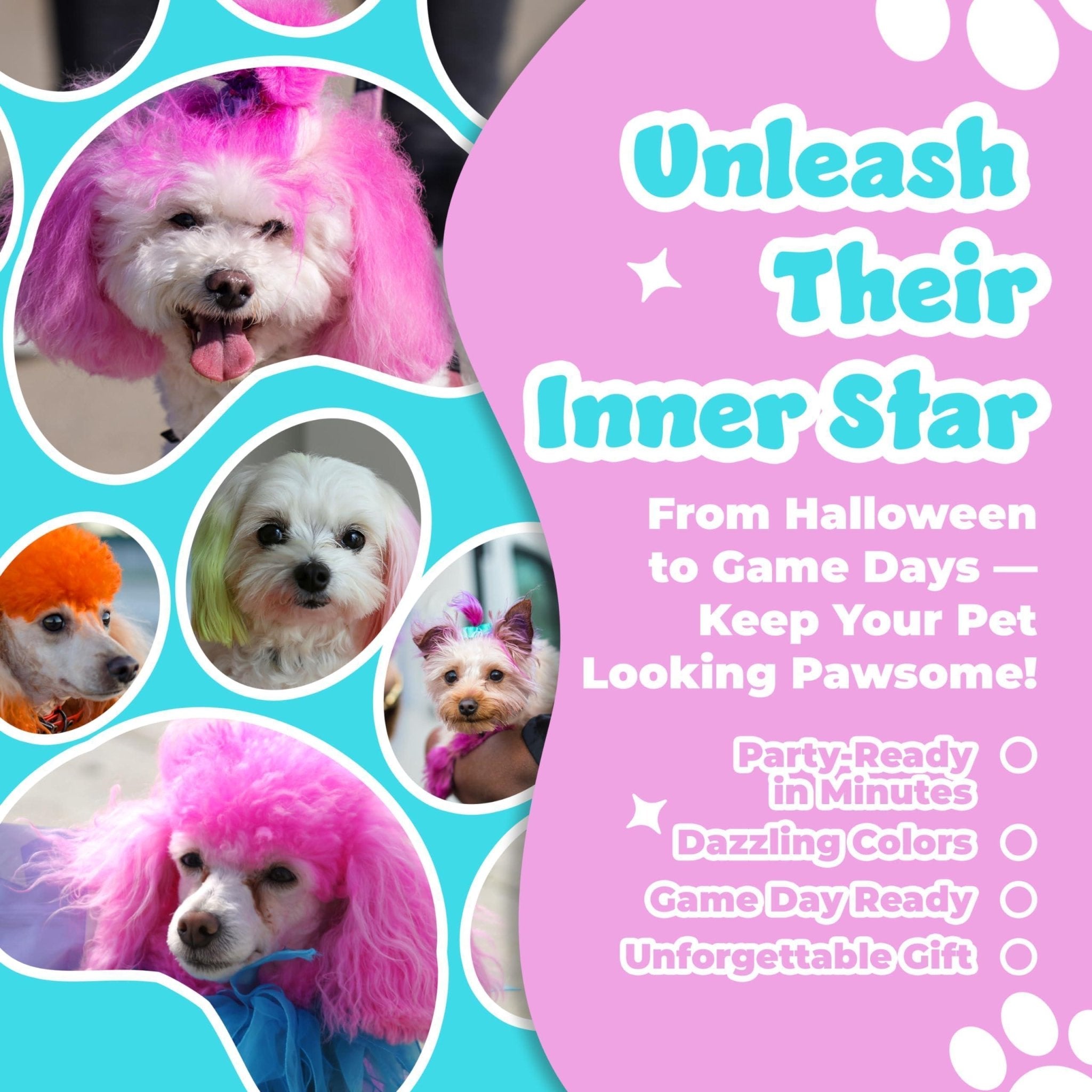 Non - Toxic Dog Hair Dye — 8 Colors - Mascotitas