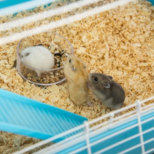 Oversized 23 Hamster Cage With Tube And Tunnel - Mascotitas