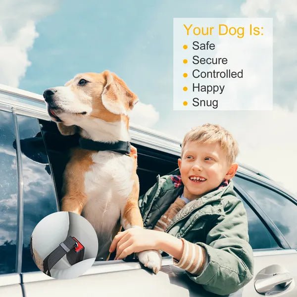 Pet Dog Seat Belt Leash Adjustable Pet Dog Cat - Mascotitas