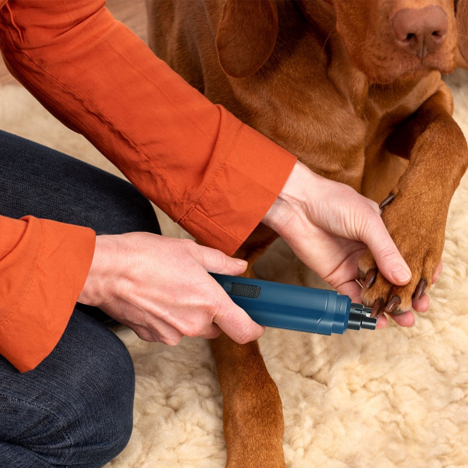 Pet Nail Grinder for Dogs - Mascotitas