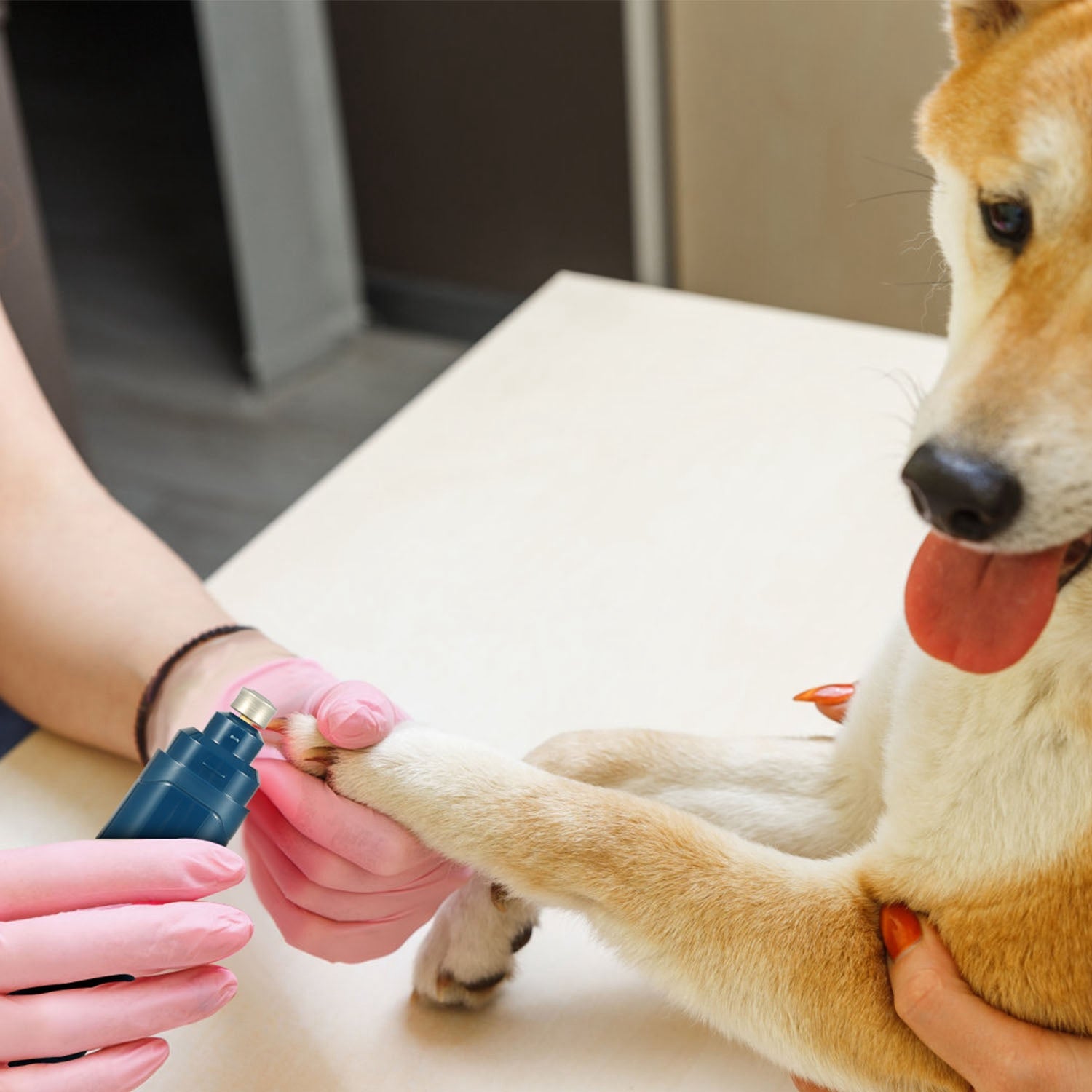 Pet Nail Grinder for Dogs - Mascotitas