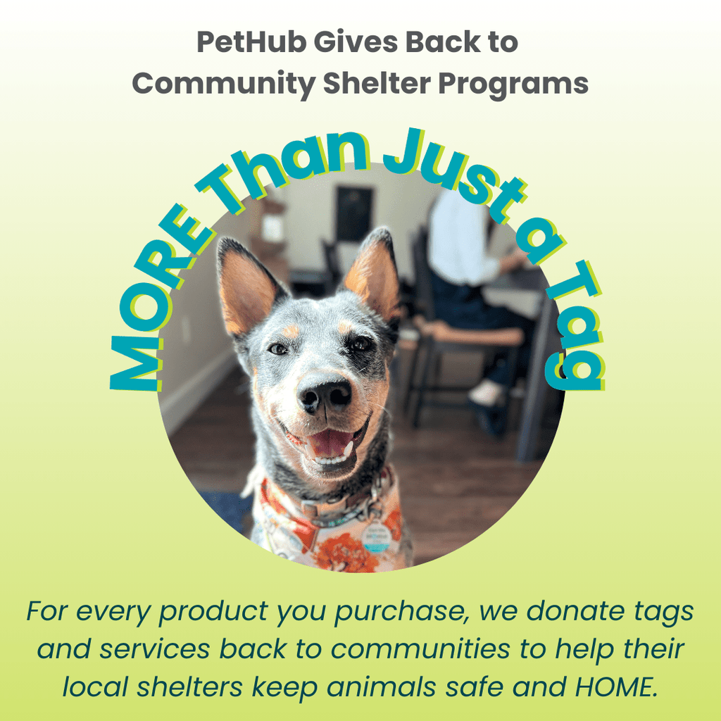 PetHub QR Pet ID Tag – Get Me Home Club - Mascotitas