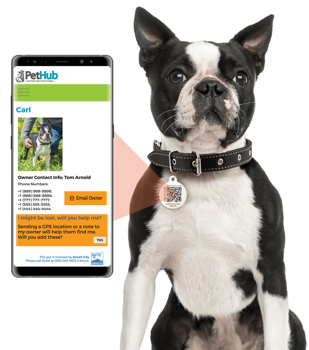 PetHub QR Pet ID Tag – Get Me Home Club - Mascotitas