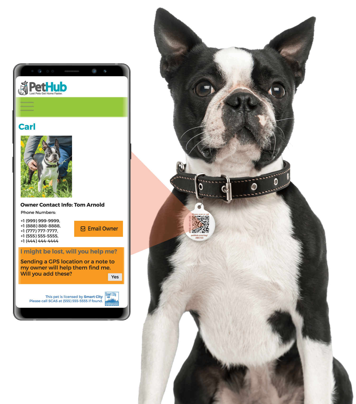PetHub QR Pet ID Tag – Get Me Home Club - Mascotitas