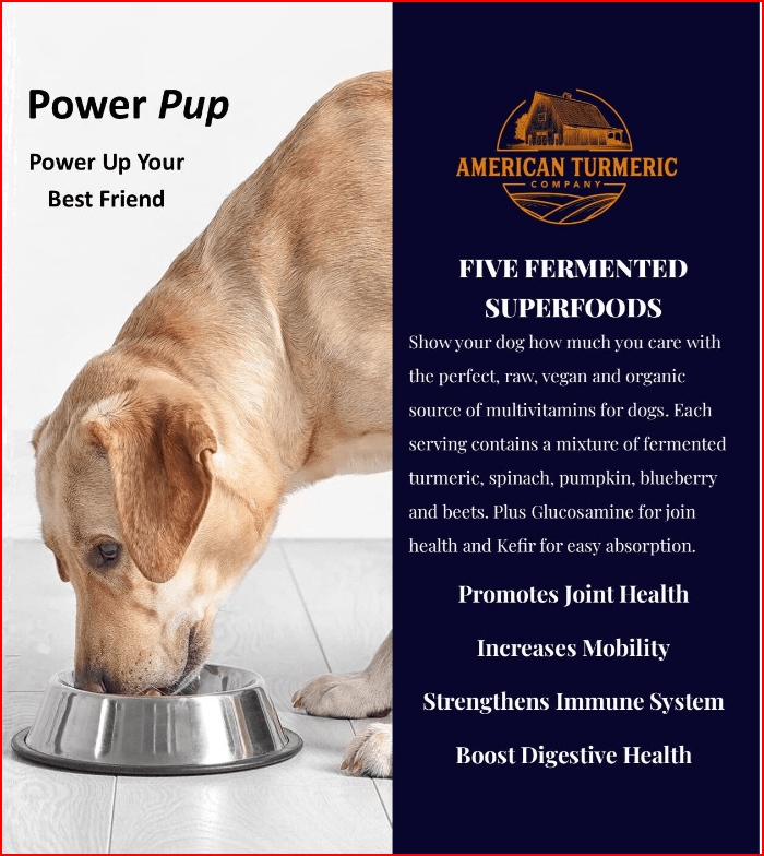 Power Pup Fermented Superfood Turmeric Powder for Pets - Mascotitas