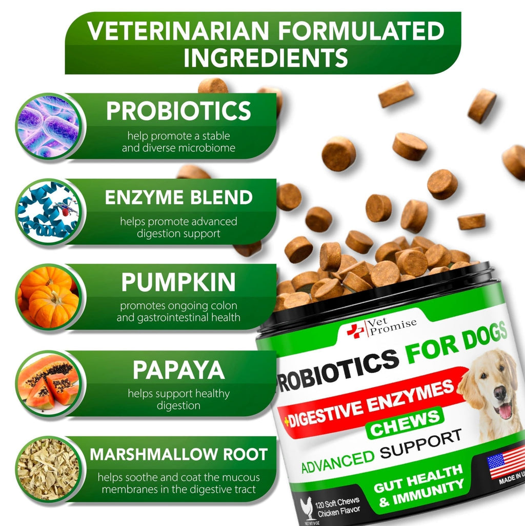 Probiotic Chews for Dogs — Digestive Health - Mascotitas