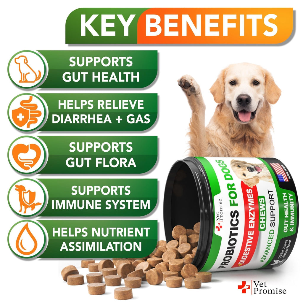 Probiotic Chews for Dogs — Digestive Health - Mascotitas