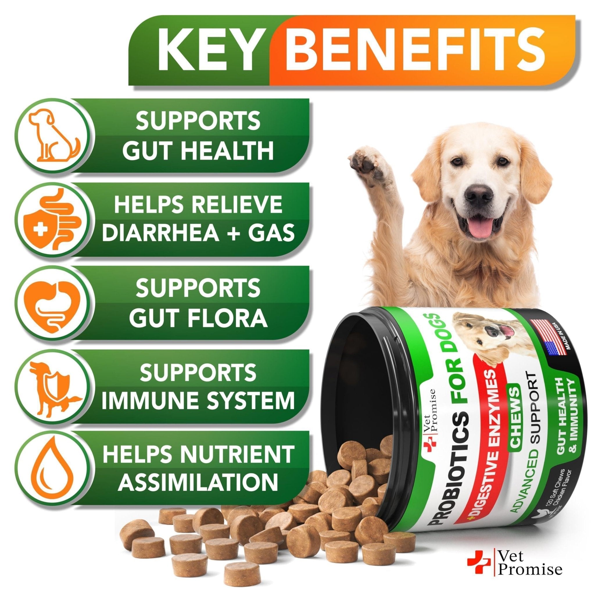 Probiotic Chews for Dogs — Digestive Health - Mascotitas