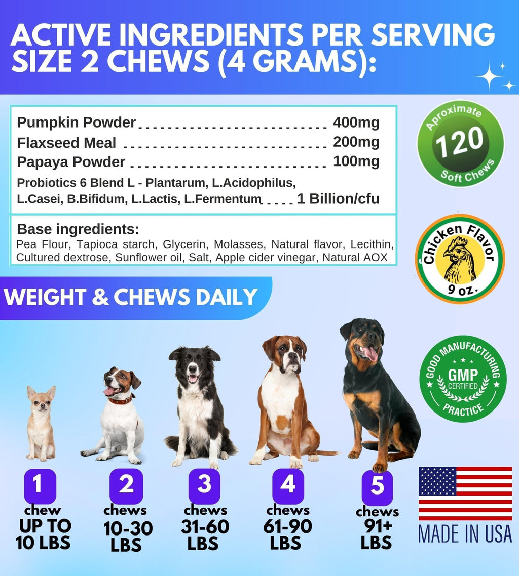 Probiotic & Enzyme Chews for Dogs — Gut Health - Mascotitas
