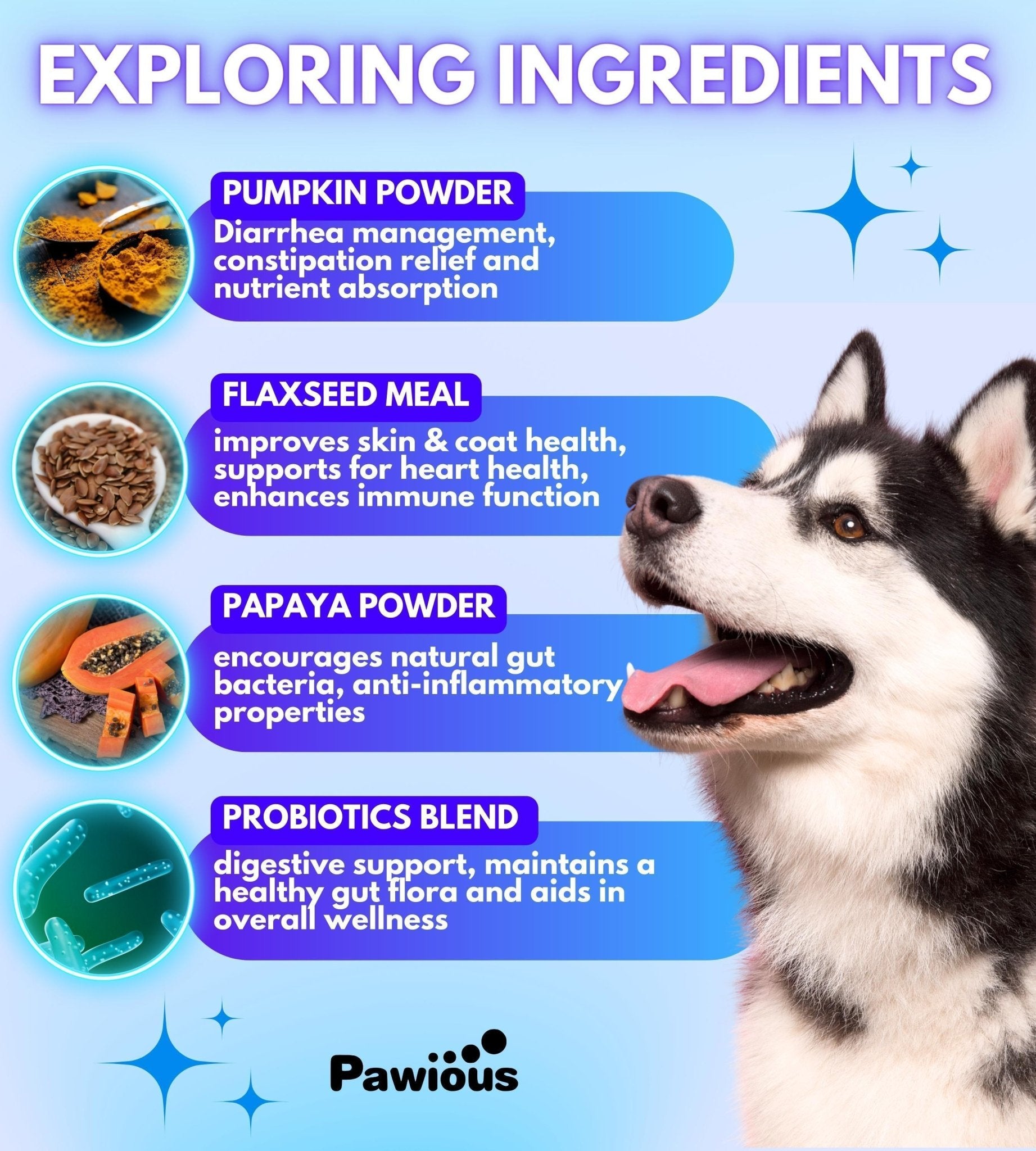 Probiotic & Enzyme Chews for Dogs — Gut Health - Mascotitas
