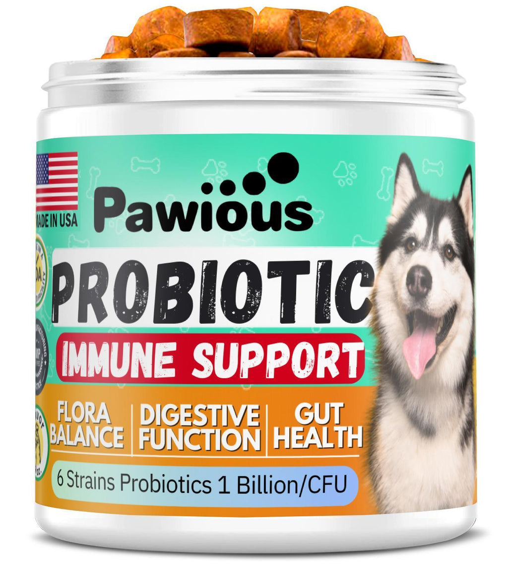 Probiotic & Enzyme Chews for Dogs — Gut Health - Mascotitas