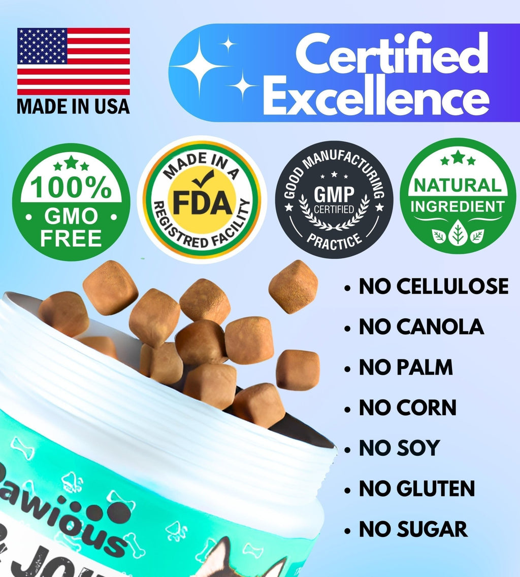 Probiotic & Enzyme Chews for Dogs — Gut Health - Mascotitas