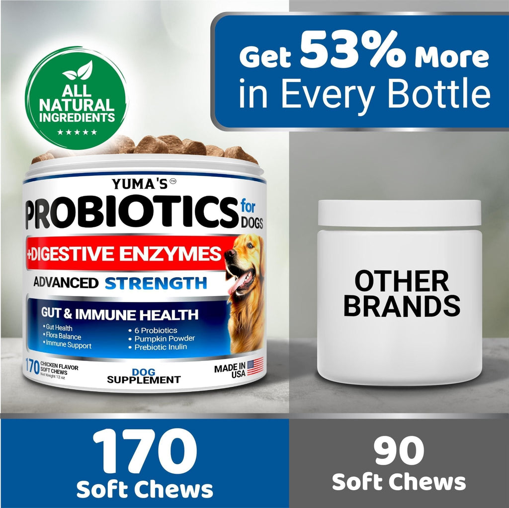 Probiotic Fiber Chews for Dogs — 170 Count - Mascotitas