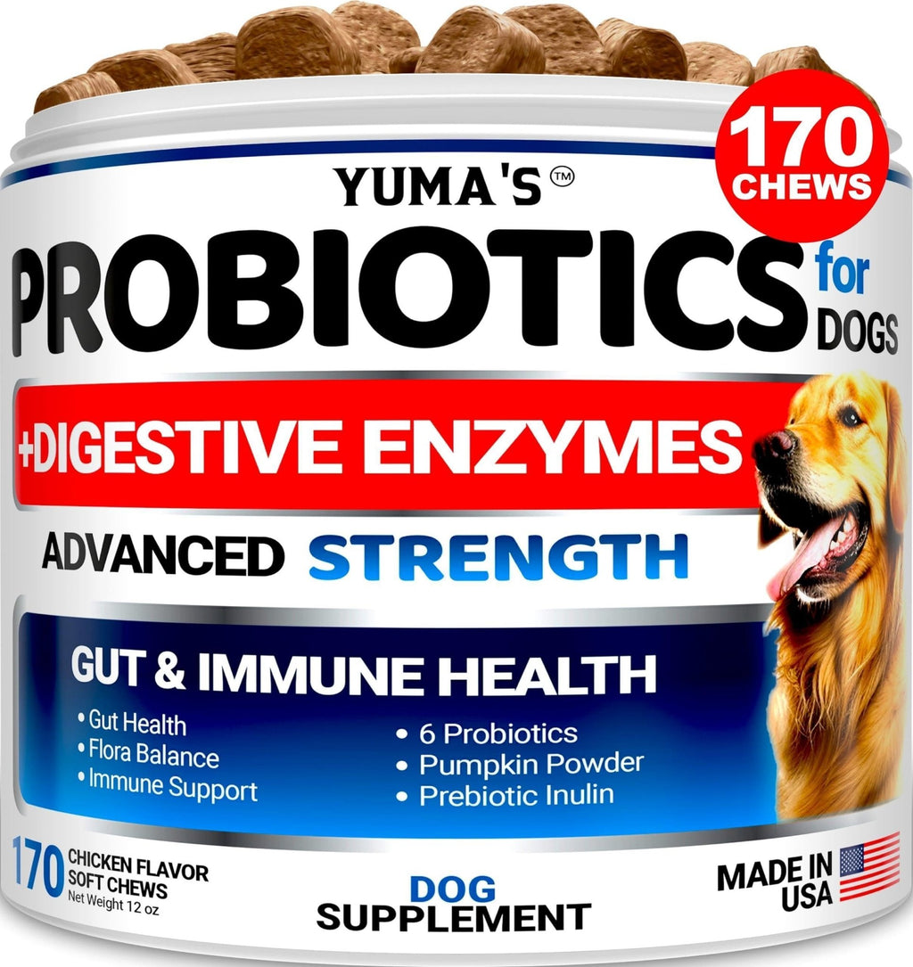 Probiotic Fiber Chews for Dogs — 170 Count - Mascotitas